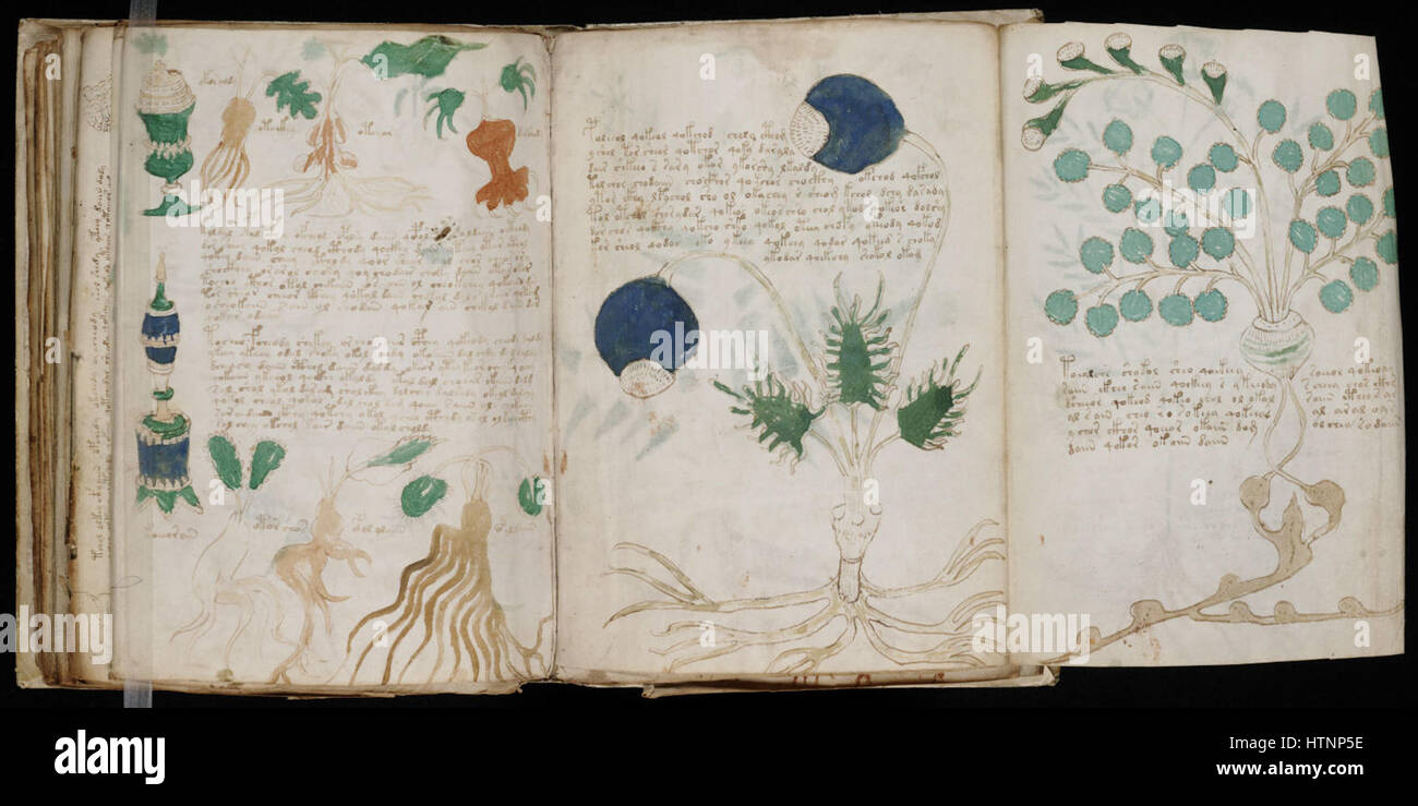 The Voynich Manuscript is a mysterious 15th-century book, written in an ...