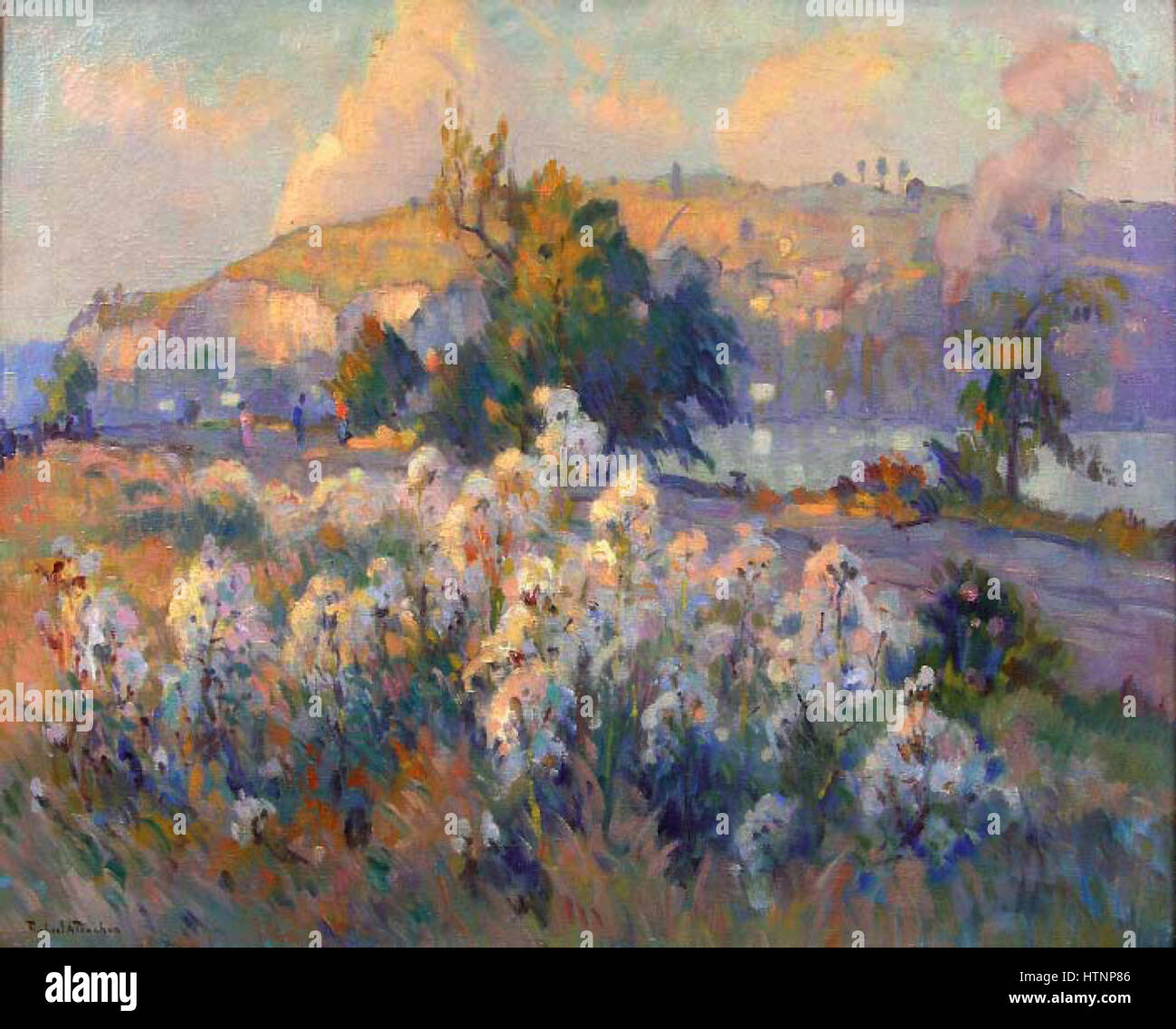 Robert Antoine Pinchon, Les chardons en bord de Seine (Chardons en fleurs), oil on canvas, 65 x 81 cm Stock Photo