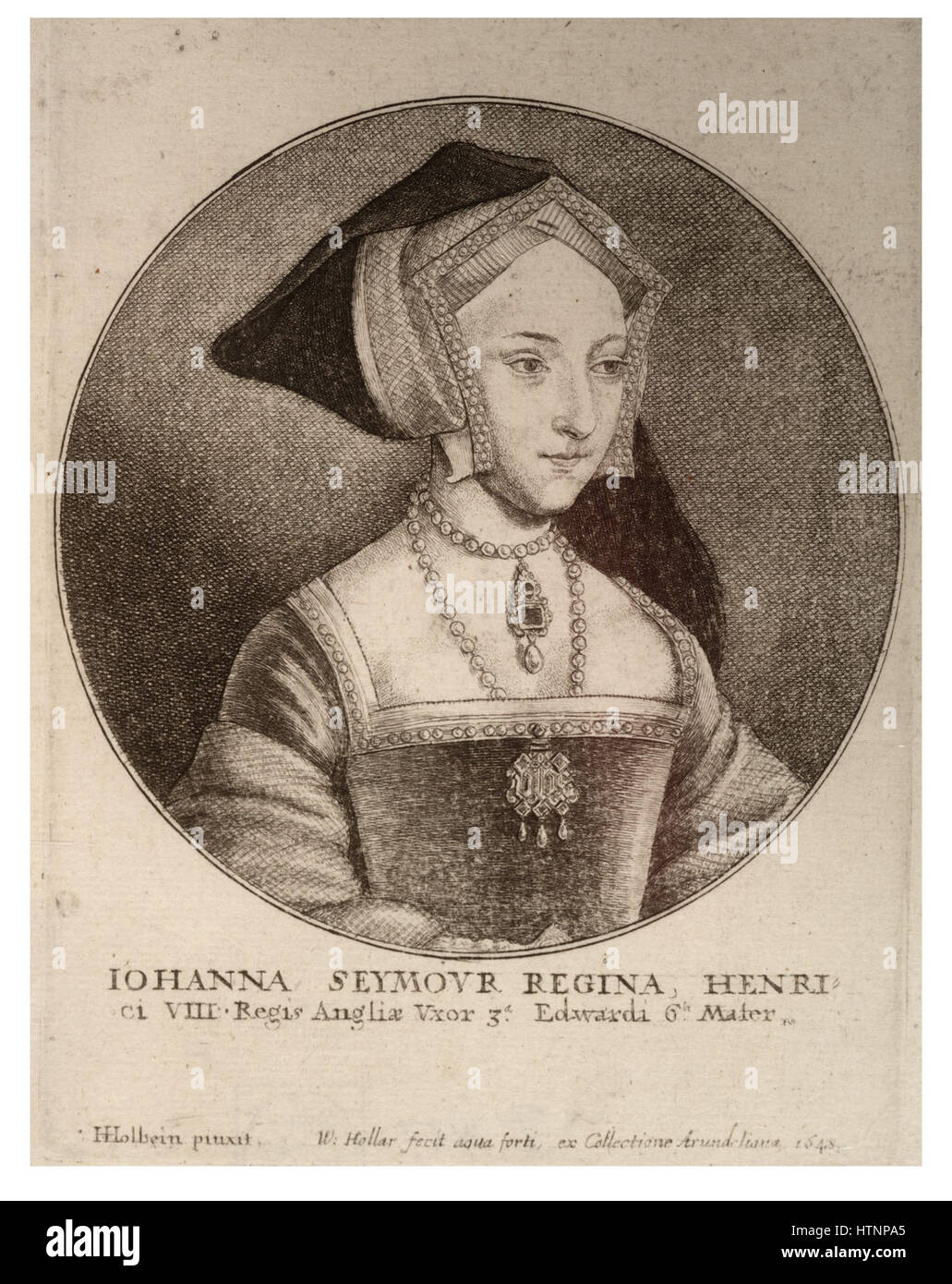 Wenceslas Hollar - Queen Jane Seymour Stock Photo