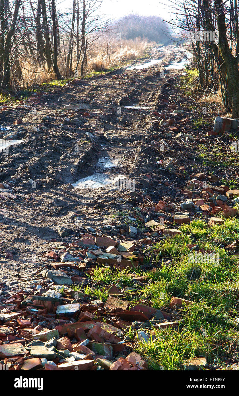 Texture mud wet dirt puddle hi-res stock photography and images - Alamy