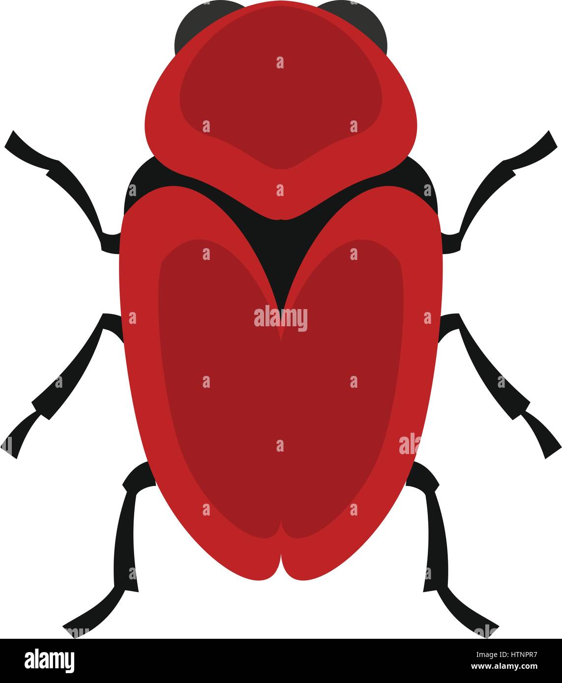 Red and black striped flower beetle Stock Vector Images - Alamy