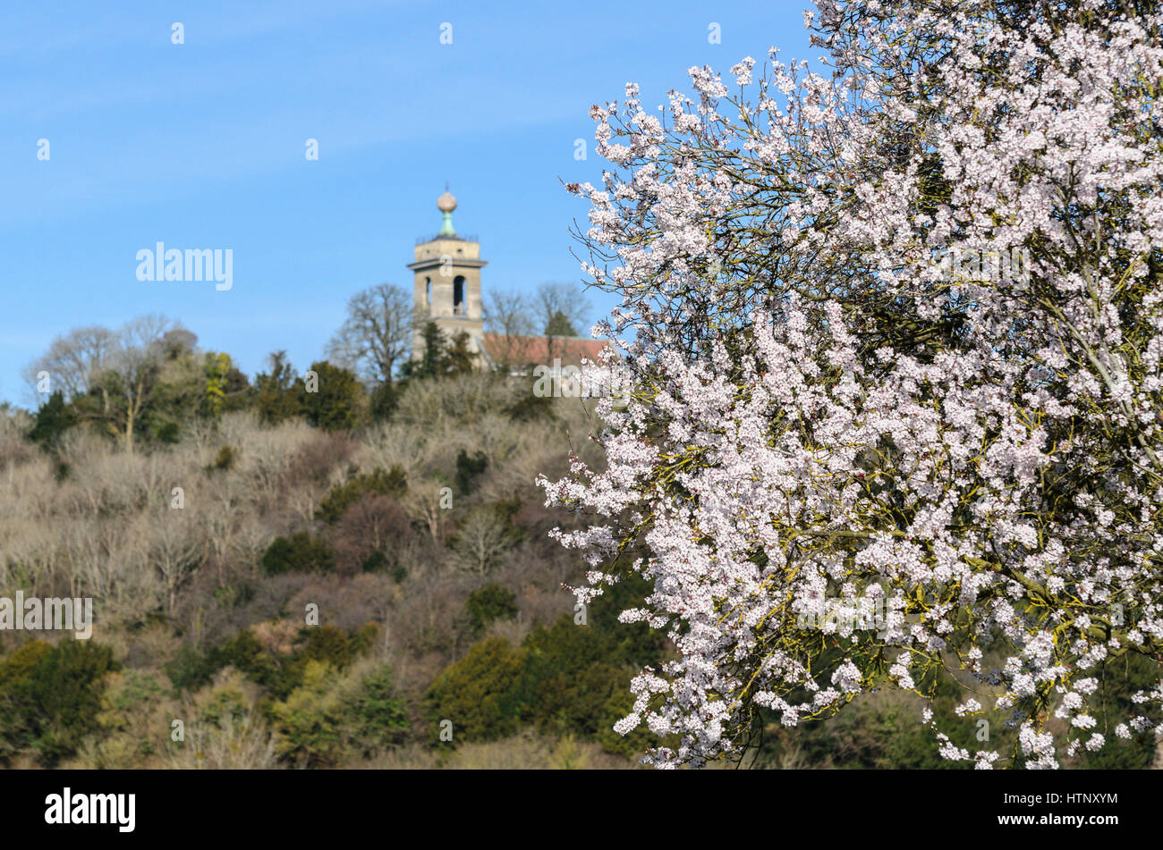 West Wycombe, UK. 13th March 2017. UK Weather. A warmer than average temperature was enjoyed in the Chiltern Hills today as blossom signals the onset of Spring. St Lawrence Church, West Wycombe, UK. on a warm spring day. Credit: Michael Winters/Alamy Live News Stock Photo