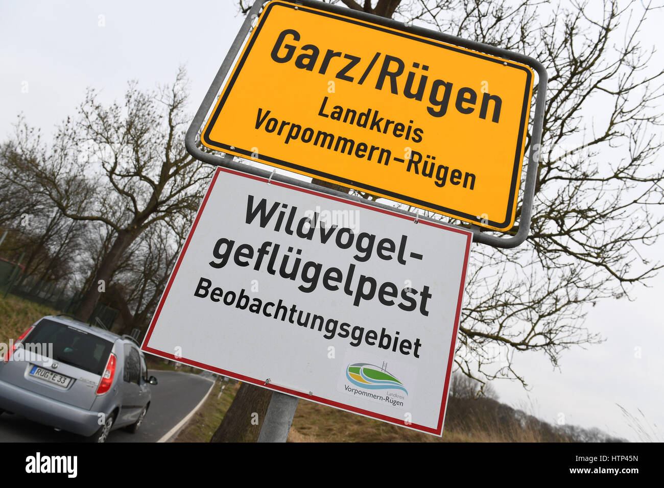Garz, Ruegen Island, Germany. 13th Mar, 2017. A sign reading "Wildgefluegelpest: Beobachtungsgebiet" (Wild bird flu: observation area) has been mounted to the town boundary sign in Garz, Ruegen Island, Germany, 13 March 2017. Dogs and cats are not allowed to roam free. They themselves do not normally fall sick, but can spread the virus. Photo: Stefan Sauer/dpa-Zentralbild/dpa/Alamy Live News Stock Photo