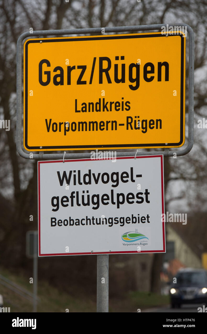 Garz, Ruegen Island, Germany. 13th Mar, 2017. A sign reading "Wildgefluegelpest: Beobachtungsgebiet" (Wild bird flu: observation area) has been mounted to the town boundary sign in Garz, Ruegen Island, Germany, 13 March 2017. Dogs and cats are not allowed to roam free. They themselves do not normally fall sick, but can spread the virus. Photo: Stefan Sauer/dpa-Zentralbild/dpa/Alamy Live News Stock Photo