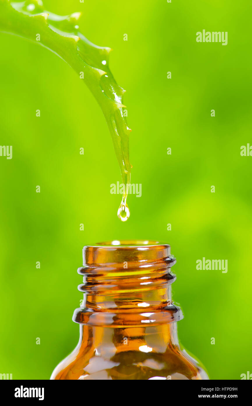 alternative medicine with essence from aloe vera cactus for healthcare