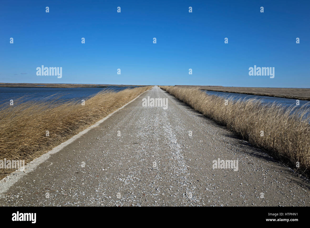 Dirt and gravel marsh grass enshrouded road along coastal wetlands on a bright sunny late winter day Stock Photo