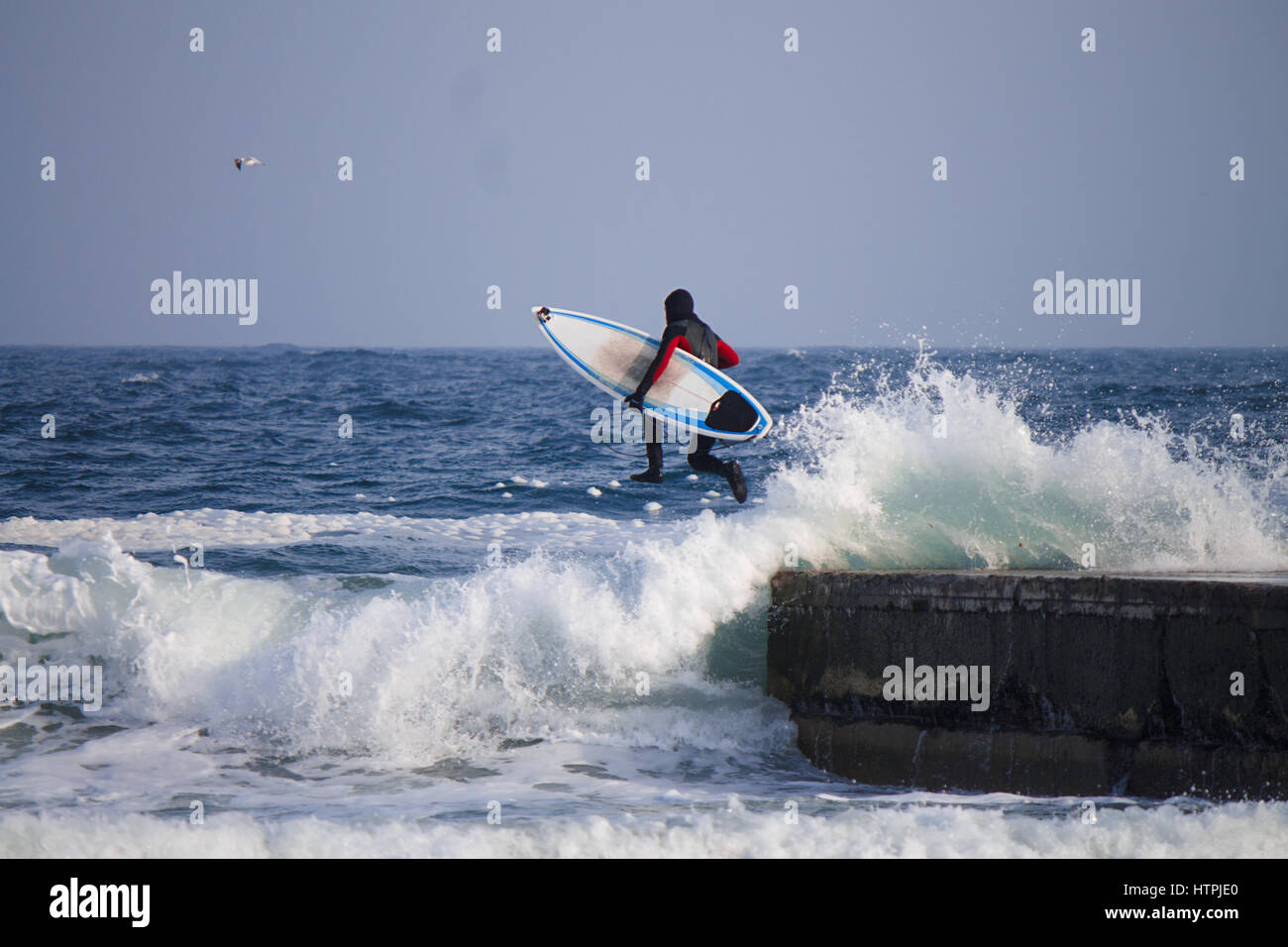 Surfer jumping into water wearing a wetsuit in winter. Cold surfing
