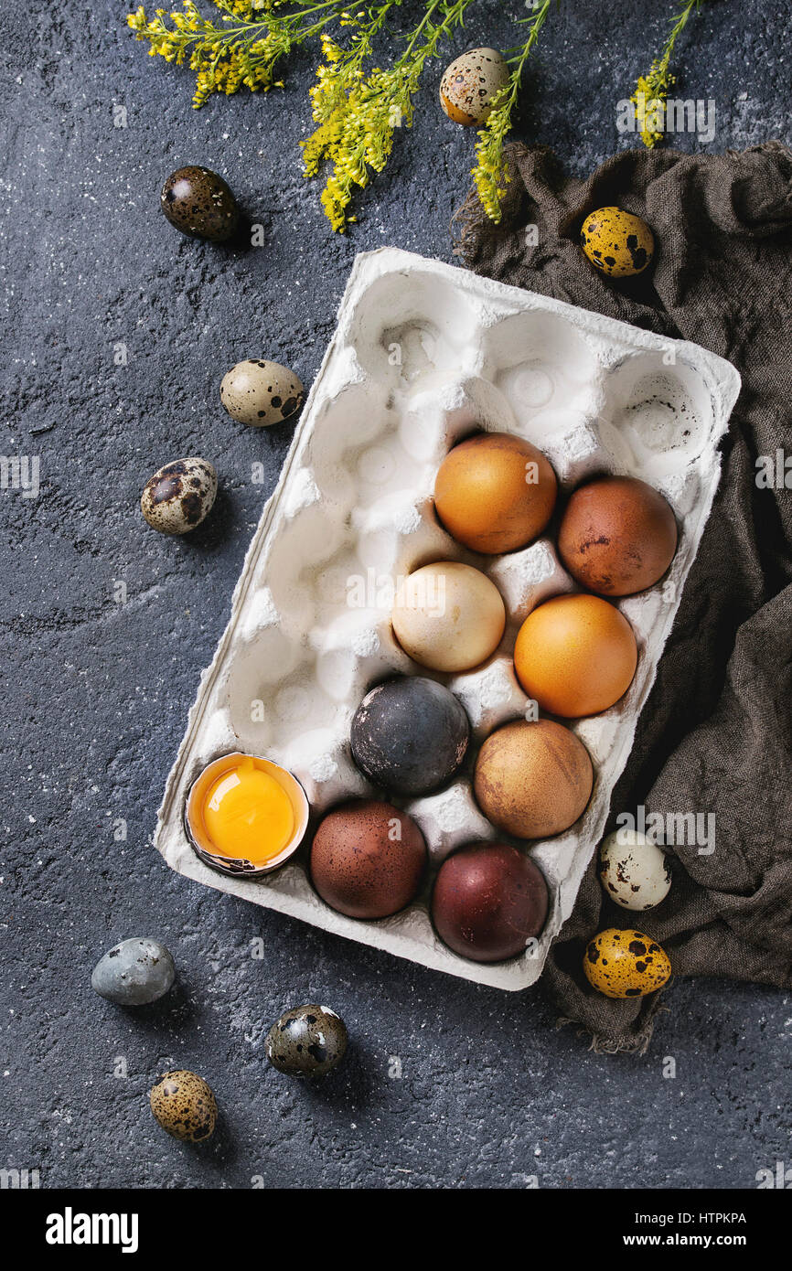 Brown and gray colored chicken and quail Easter eggs in paper box with yolk, yellow flowers, sackcloth rag over black concrete texture background. Top Stock Photo