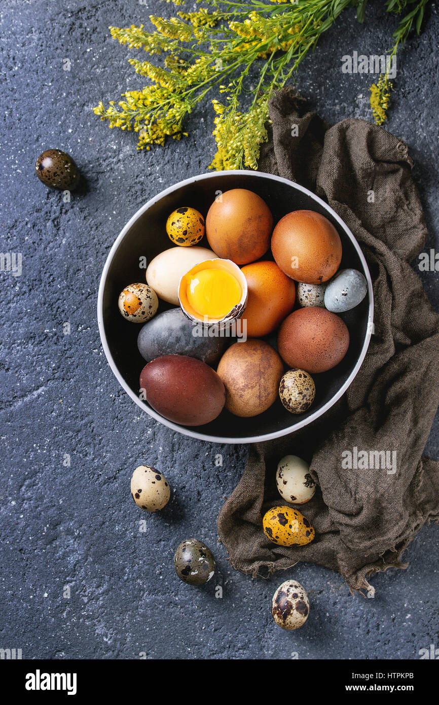 Brown and gray colored chicken and quail Easter eggs in black ceramic bowl with yolk, yellow flowers, sackcloth rag over black concrete texture backgr Stock Photo