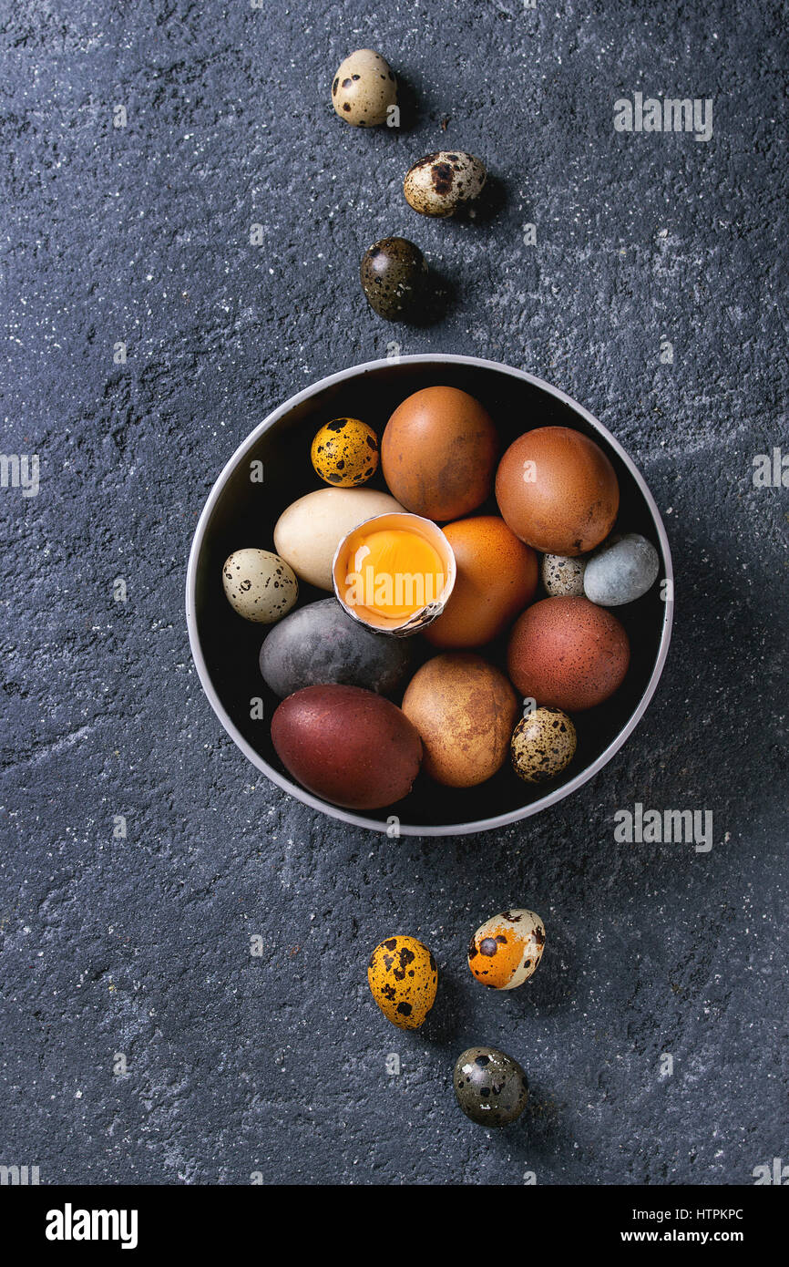 Brown and gray colored chicken and quail Easter eggs in black ceramic bowl with yolk over black concrete texture background. Top view, copy space Stock Photo