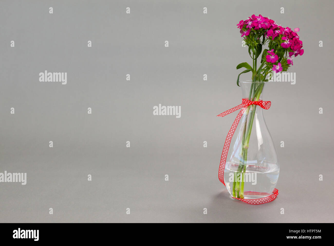 Flower Vase Tied With Red Ribbon On Grey Background Stock Photo