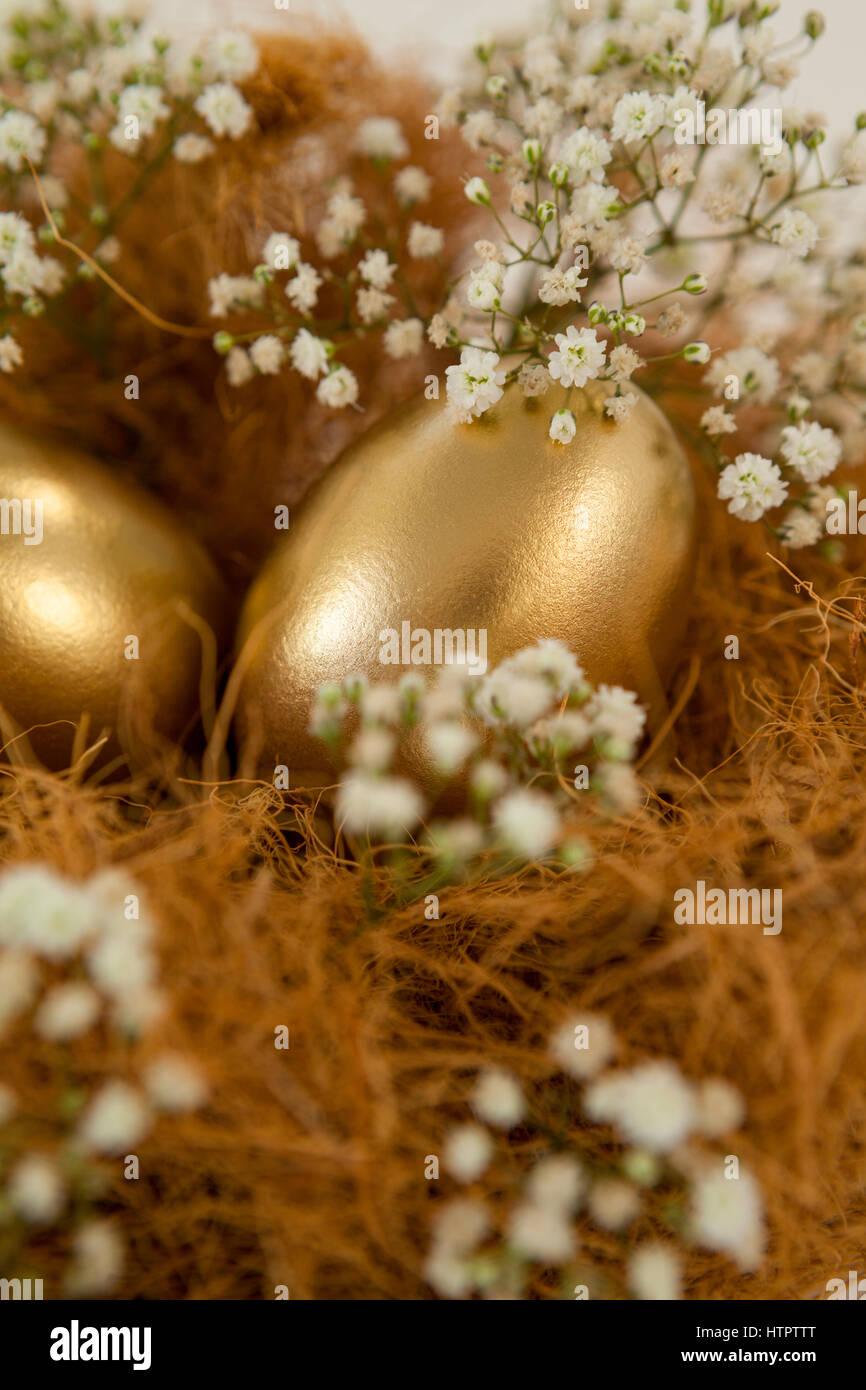 Golden easter eggs in nest against white background Stock Photo - Alamy