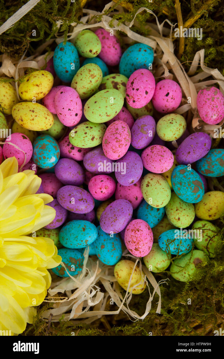 Close-up of colorful easter eggs in wicker basket with flower Stock Photo