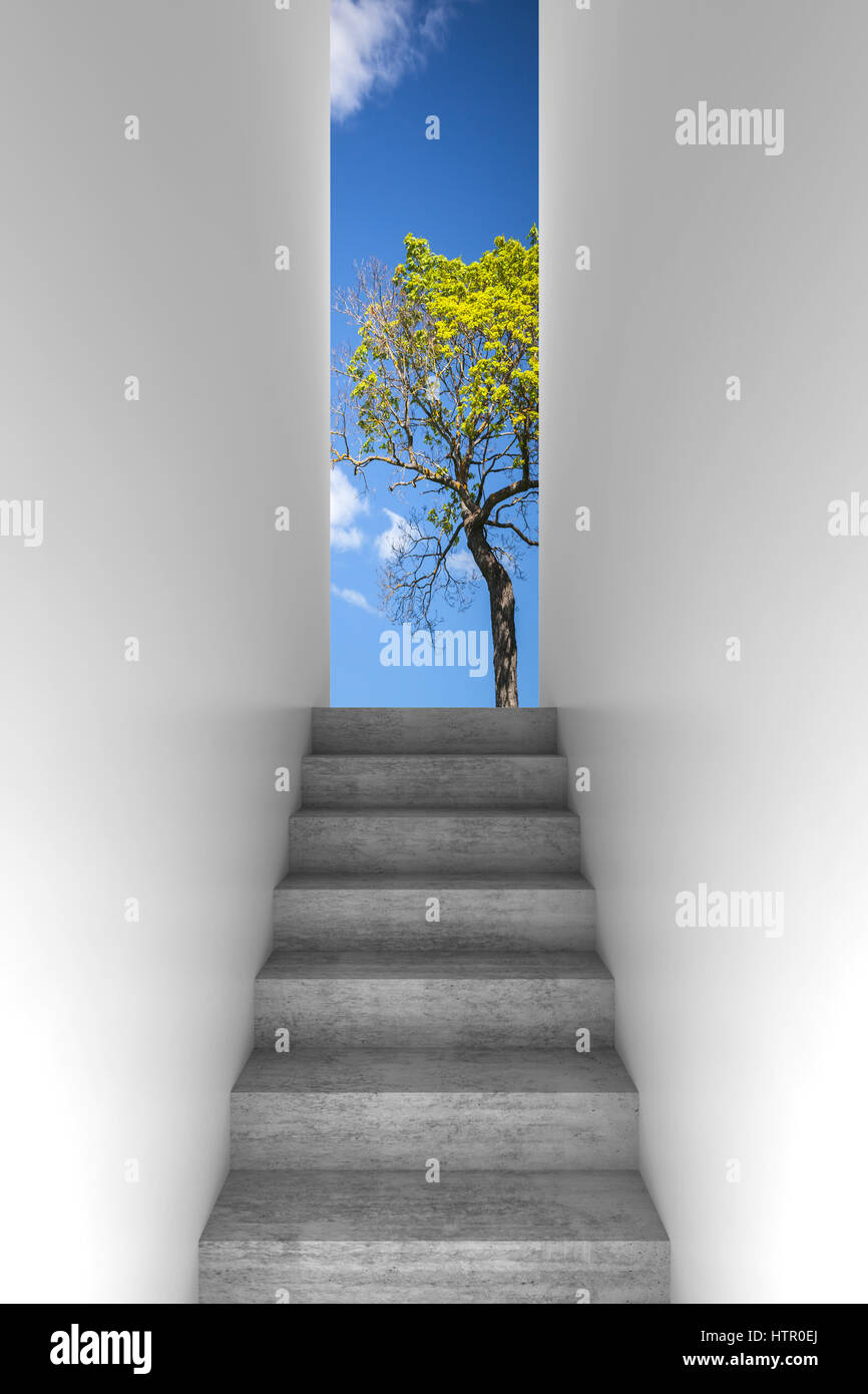 Concrete stairway goes up, abstract empty white interior background with green tree and blue cloudy sky outside, front view, 3d illustration Stock Photo