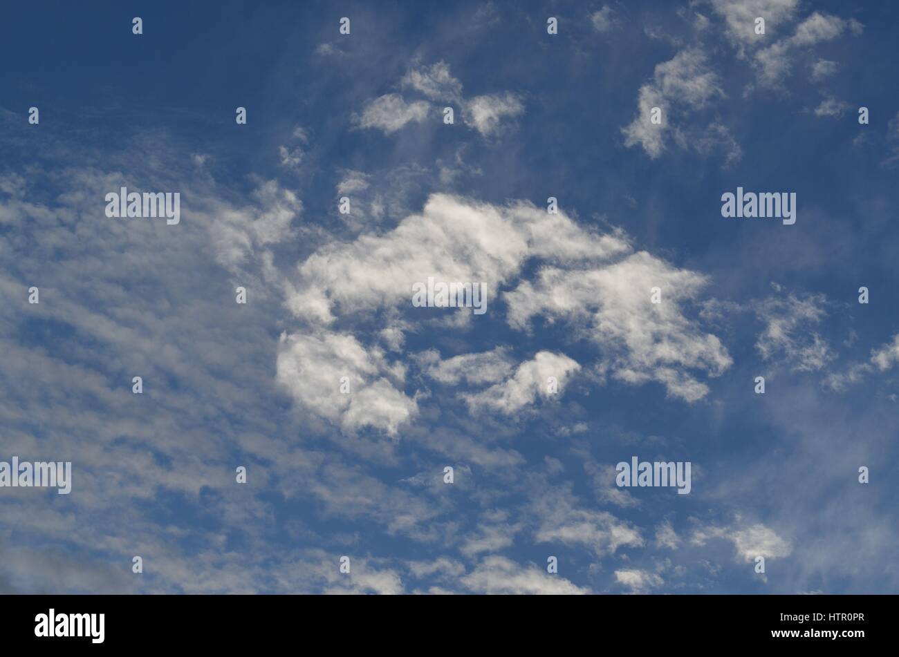 Gorgeous azure blue sky with delicate white fluffy clouds gliding by Stock Photo