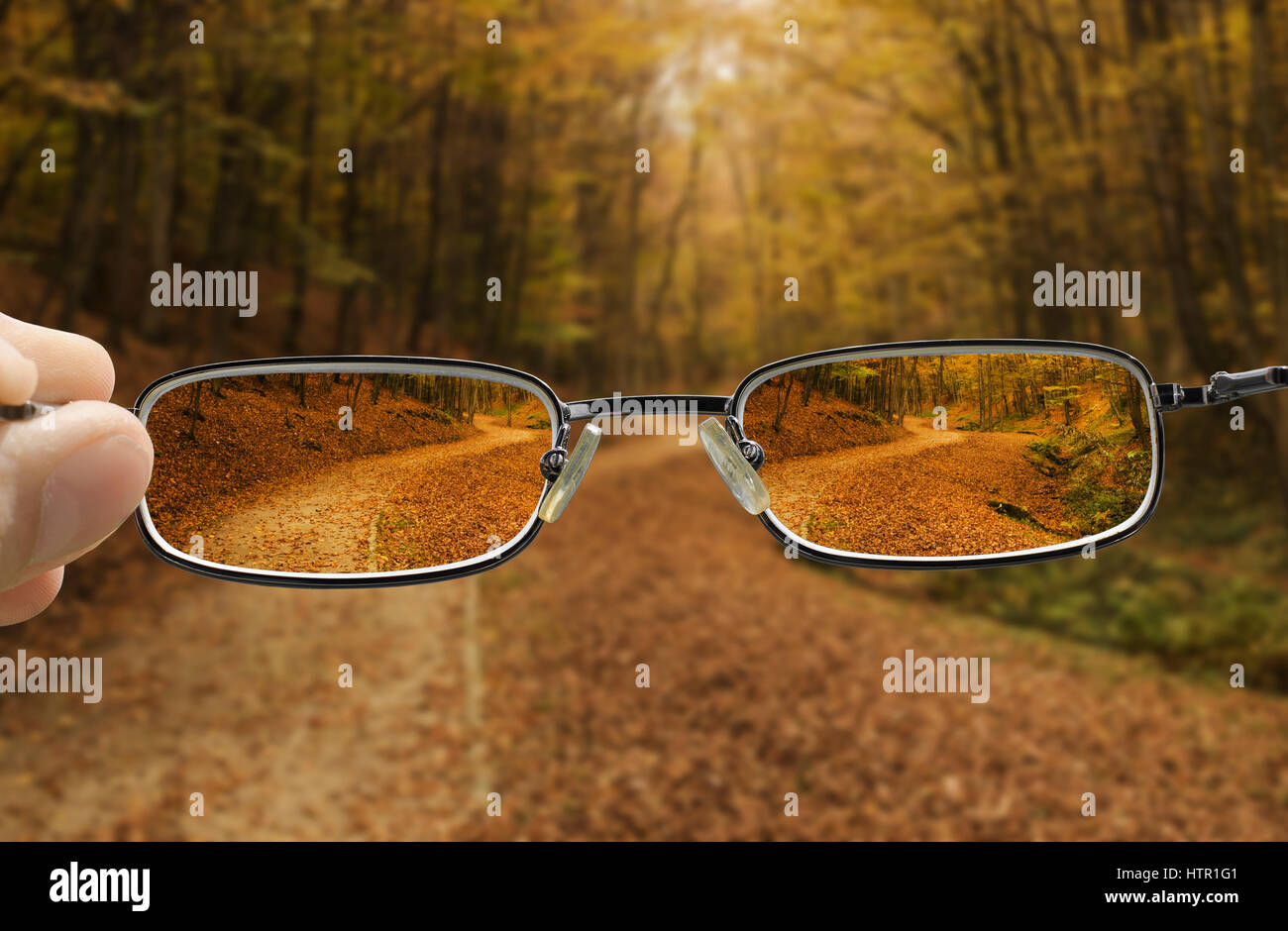 seeing forest path in autumn through glasses that improve vision Stock Photo