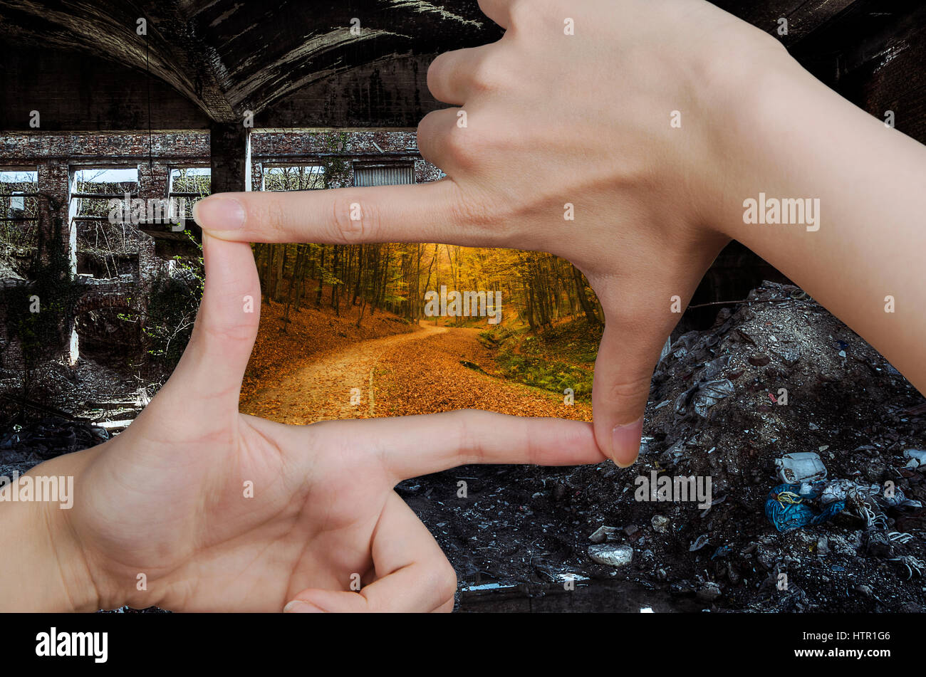 fingers creating a square making the vision of garbage and ruins turn to clean nature Stock Photo