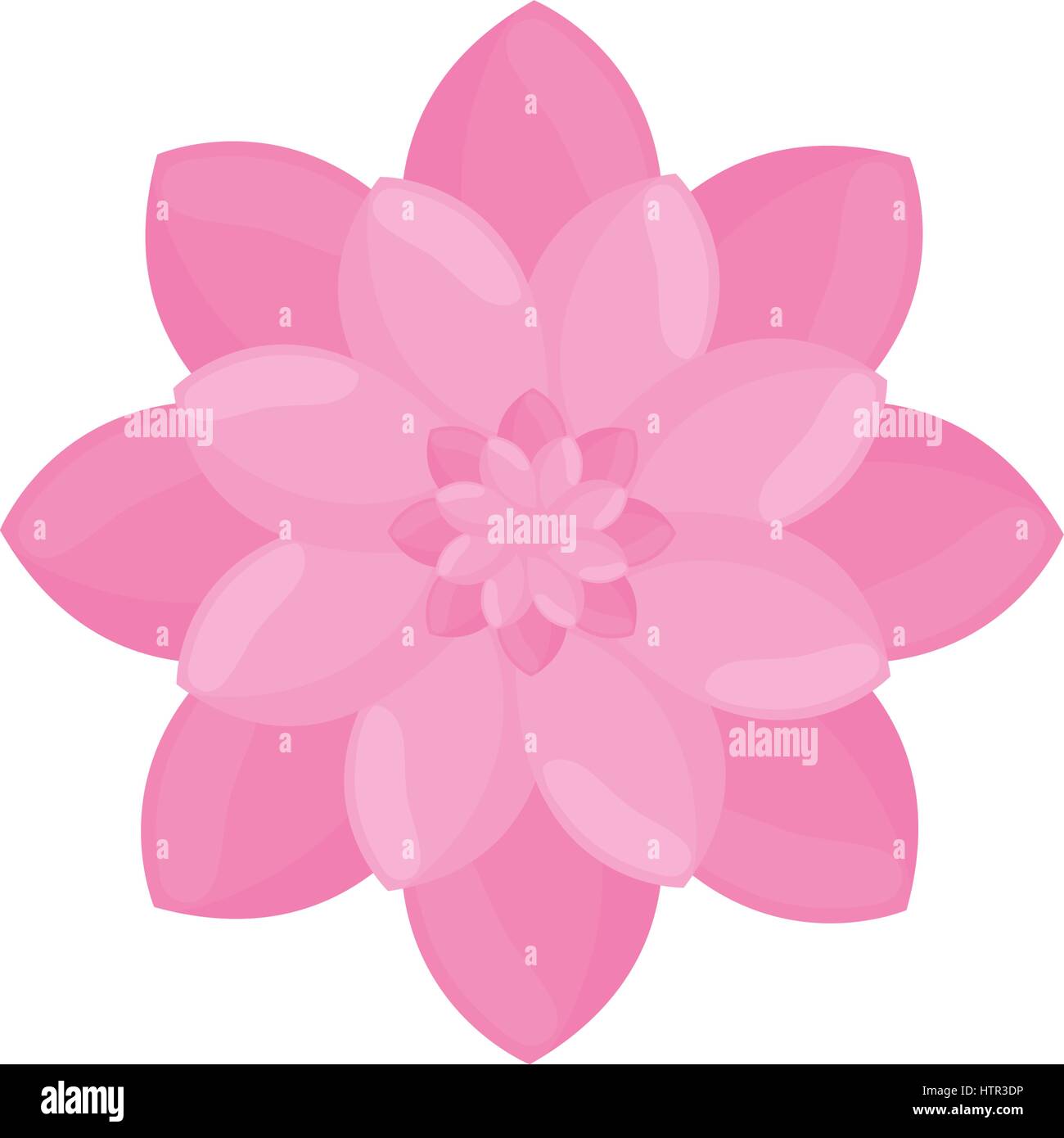 pink flower garden decoration Stock Vector Image & Art - Alamy