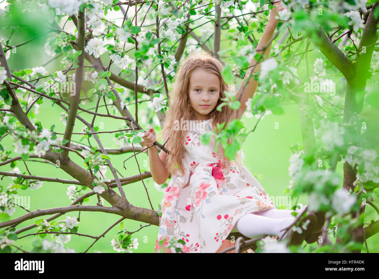 Adorable little girl in blooming cherry tree garden on spring day Stock ...