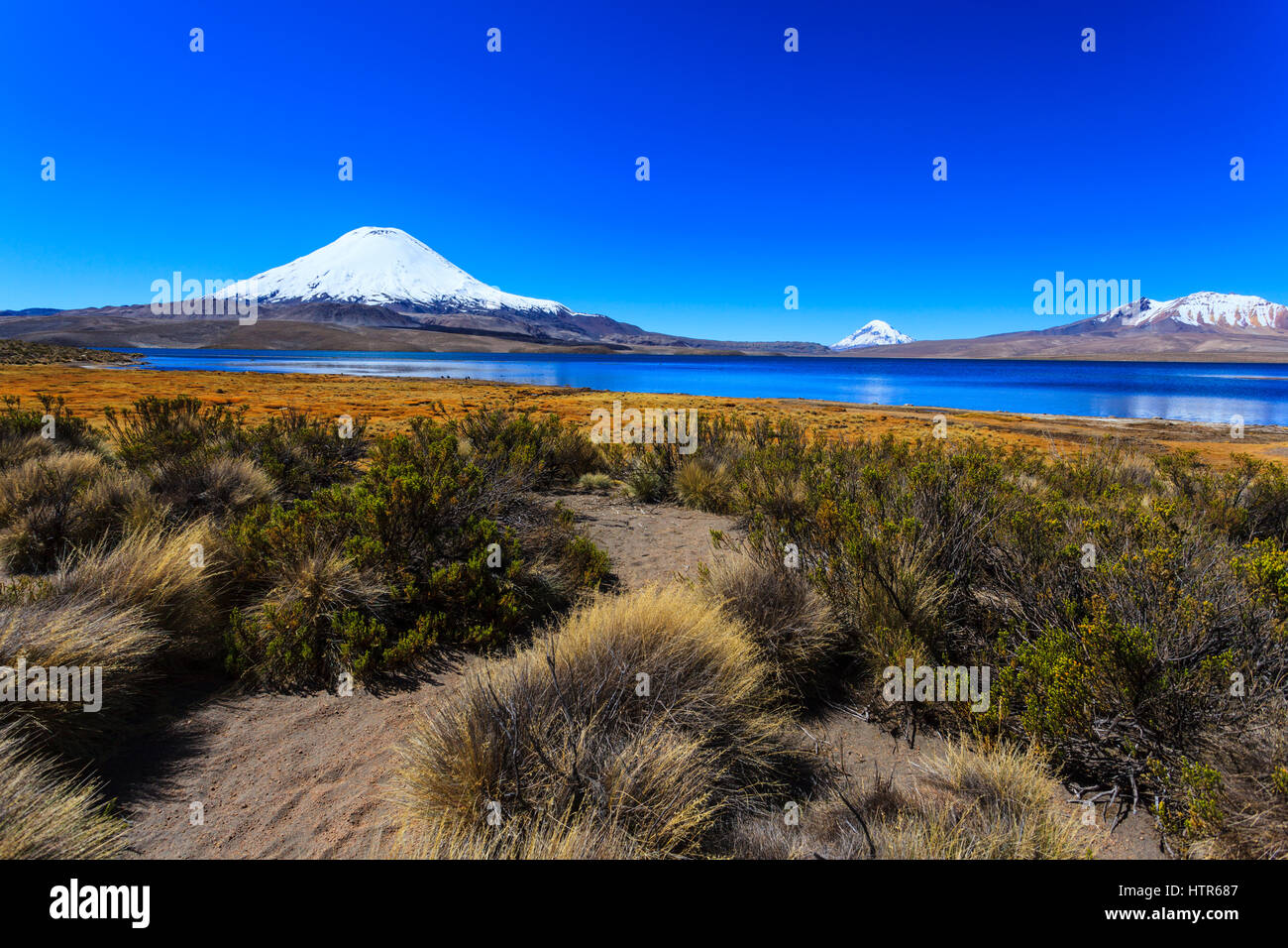 Chungara Lake in Lauca National Park, North Chile Stock Photo