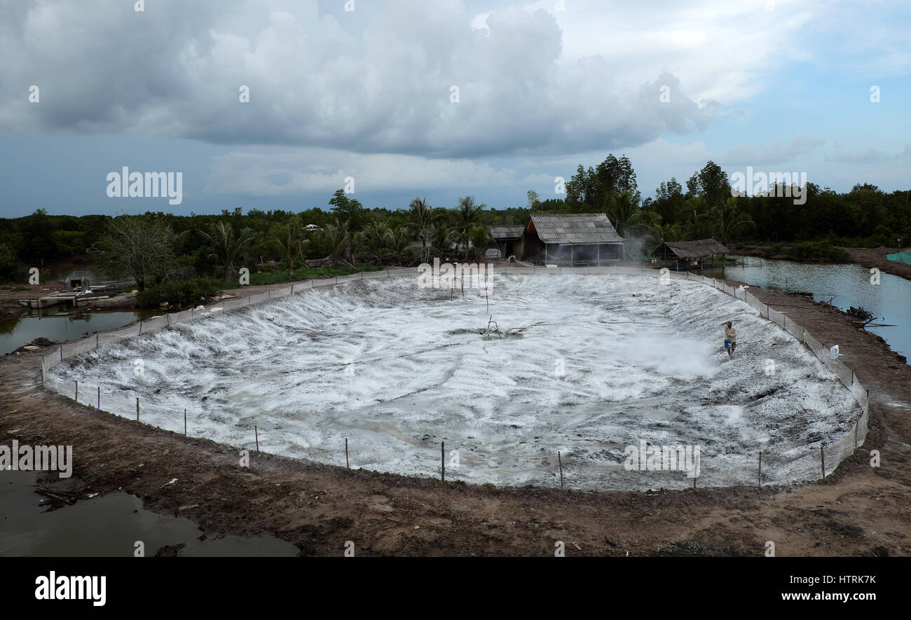 Asian farmer spreading lime powder, antiseptic for shrimp pond, man working  on dried lake, prepare for new crop of aquaculture, Mekong Delta, Vietnam  Stock Photo - Alamy