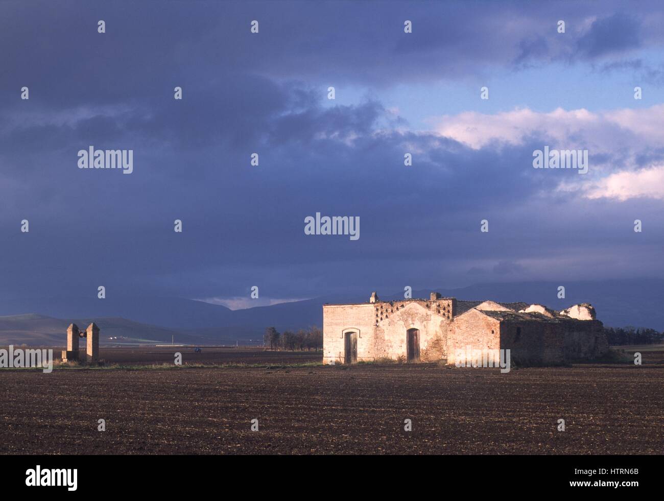 Italy, Puglia, gricultural landscape near S.Severo (Foggia) Stock Photo