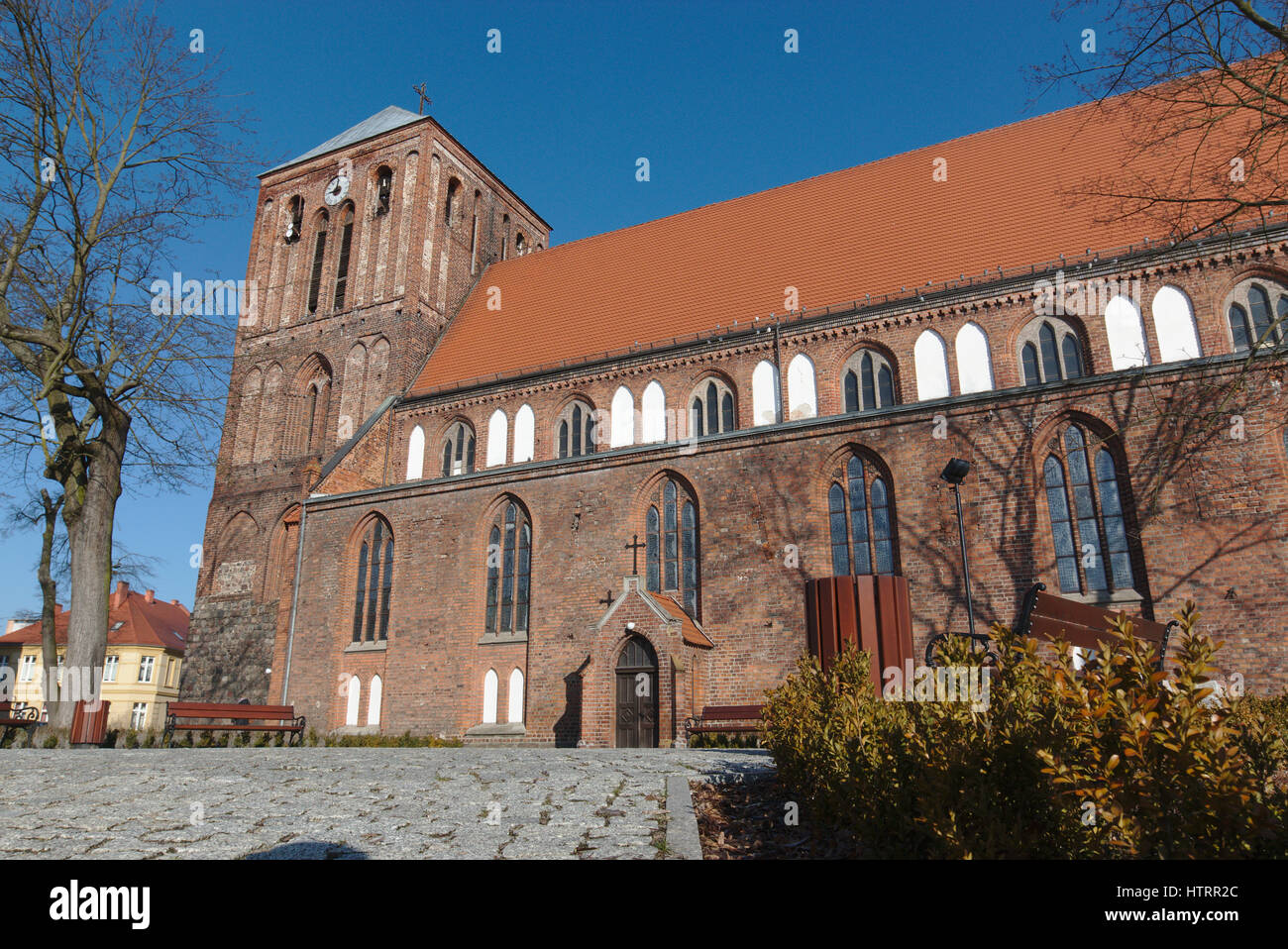 Gothic collegiate church in Strzelce Krajeńskie Stock Photo