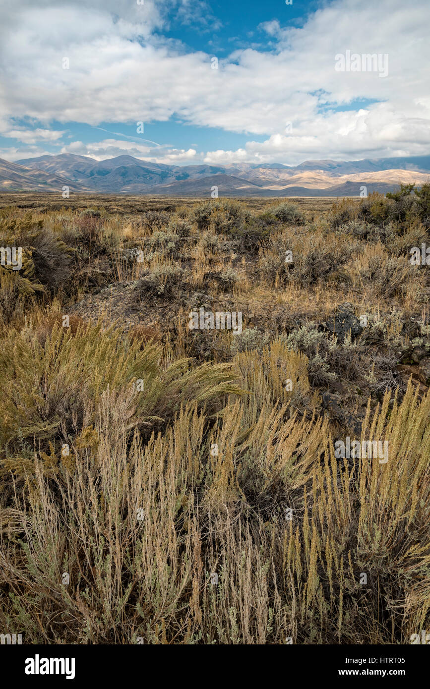 Lava and sage landscape at Craters of the Moon National Monument and Preserve, Idaho, USA. Stock Photo
