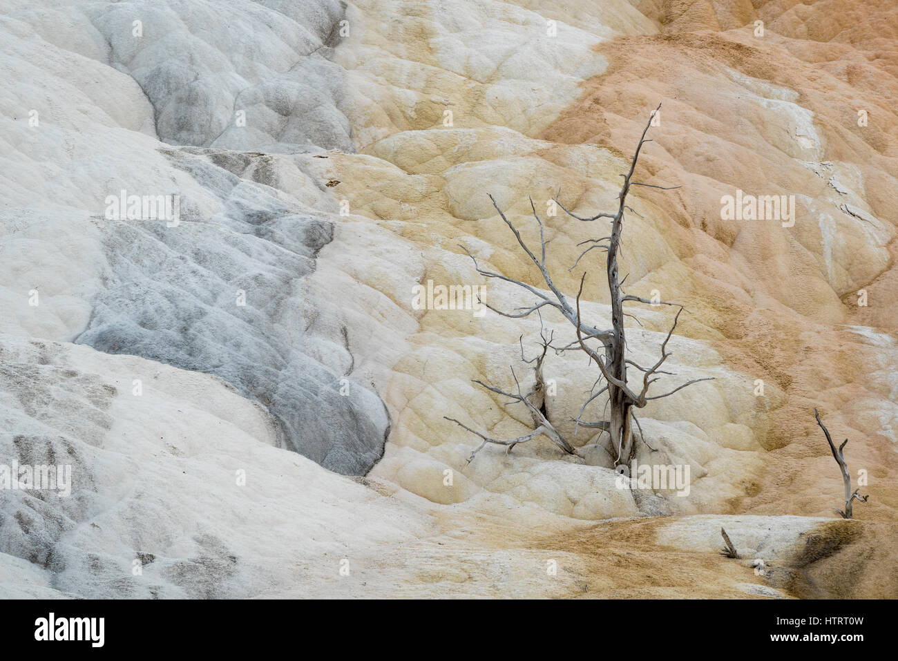 Mammoth Hot Springs Lower Terraces, Yellowstone National Park, Wyoming. Stock Photo