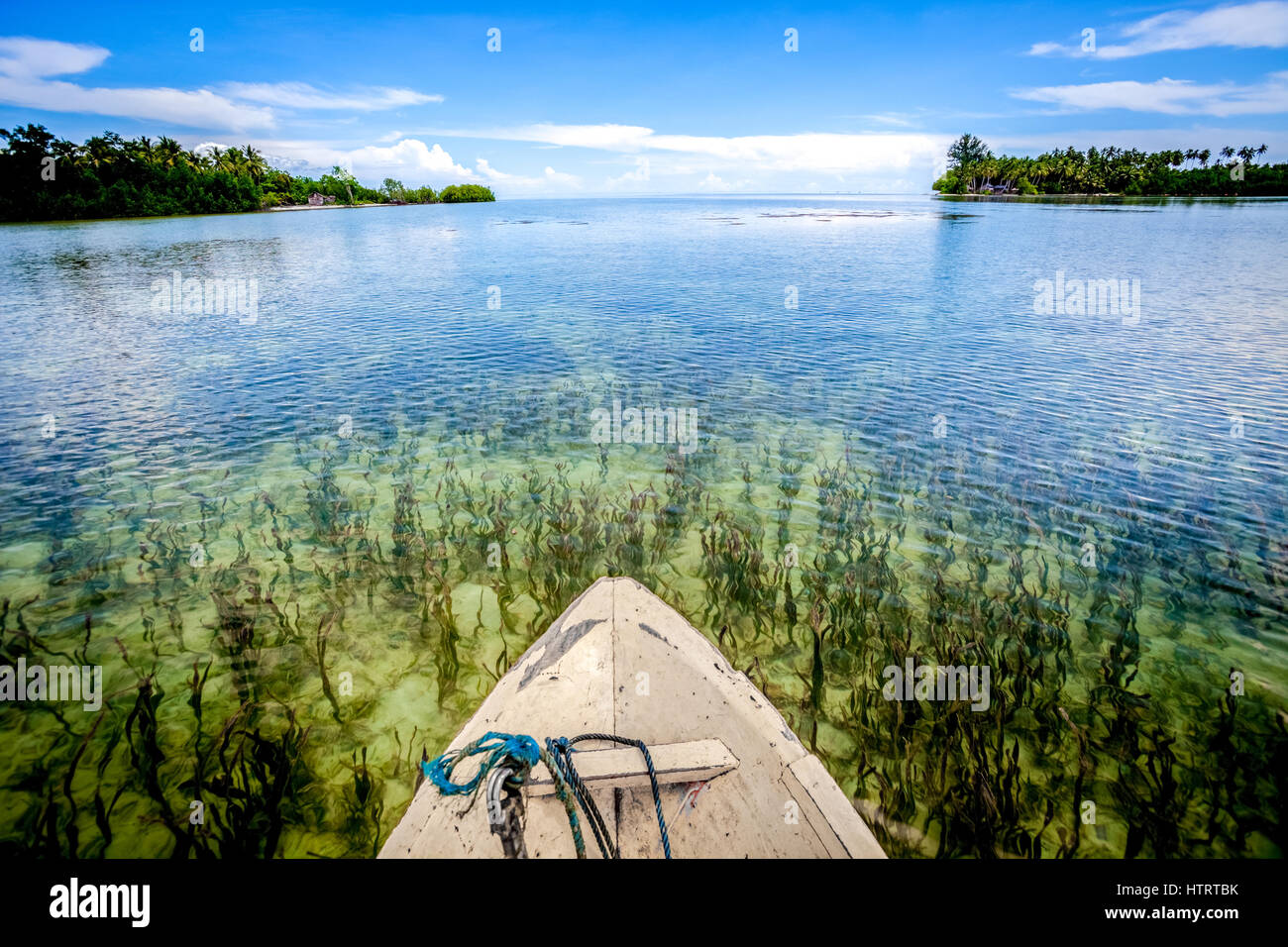 Seagrass bed is seen from a boat sailing on coastal water near Marsegu Island, Kotania Bay, close to Seram Island in Maluku, Indonesia. Stock Photo