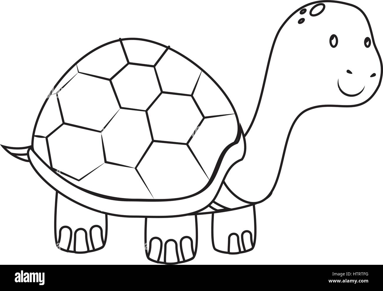 cute turtle pet isolated icon Stock Vector Image & Art - Alamy