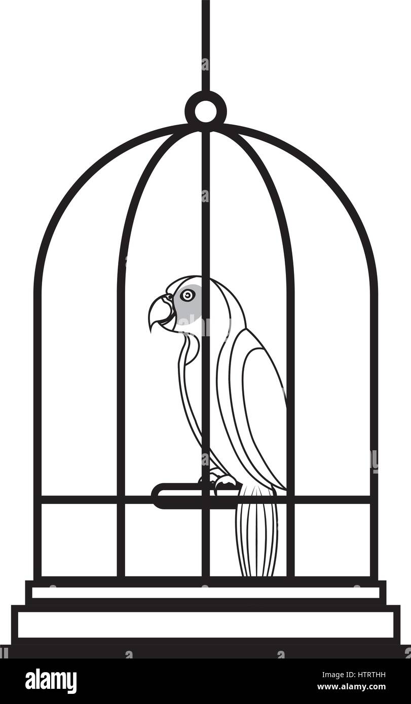 Parrot Cage Cartoon Stock Photos & Parrot Cage Cartoon Stock ...