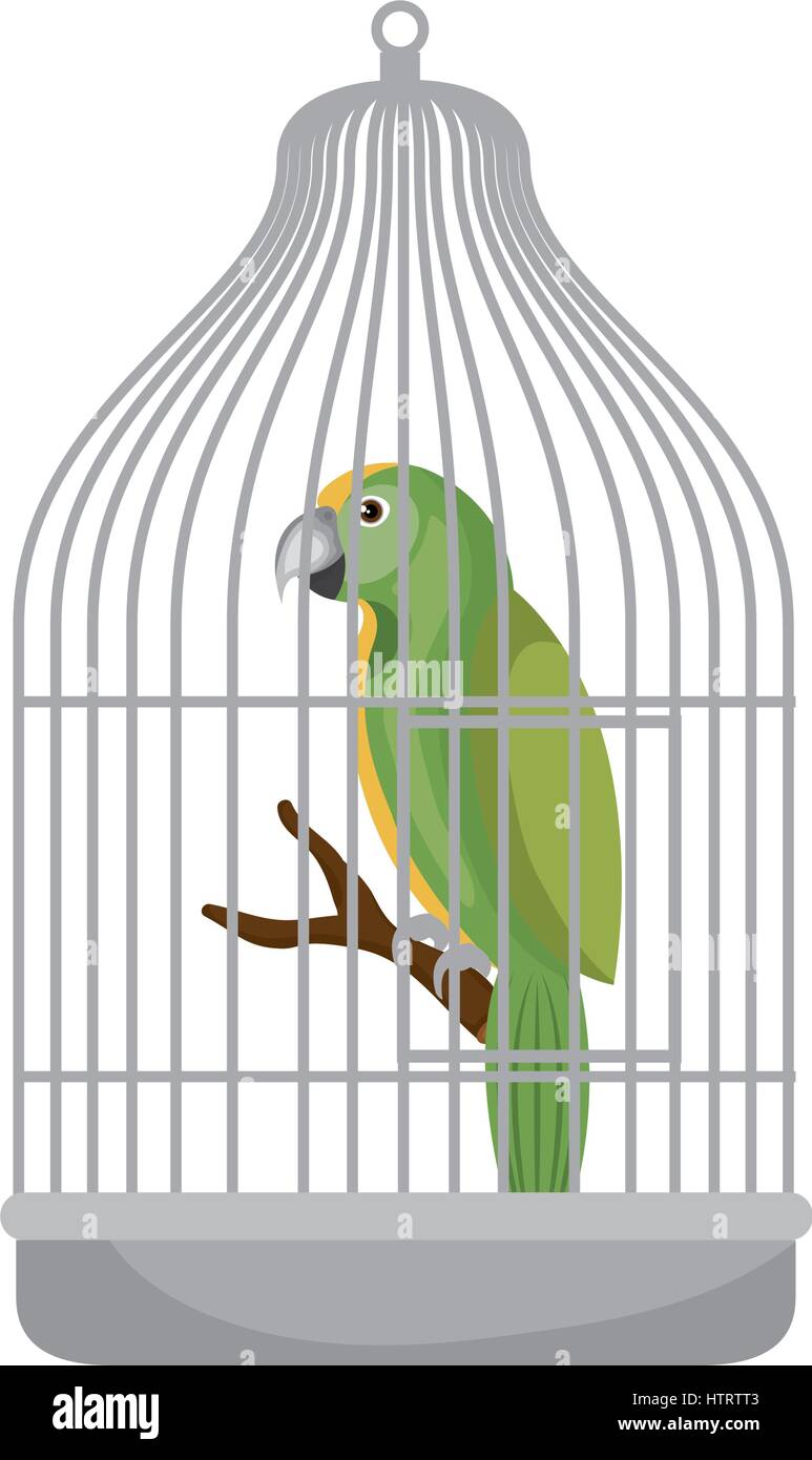 Image result for parrot in cage