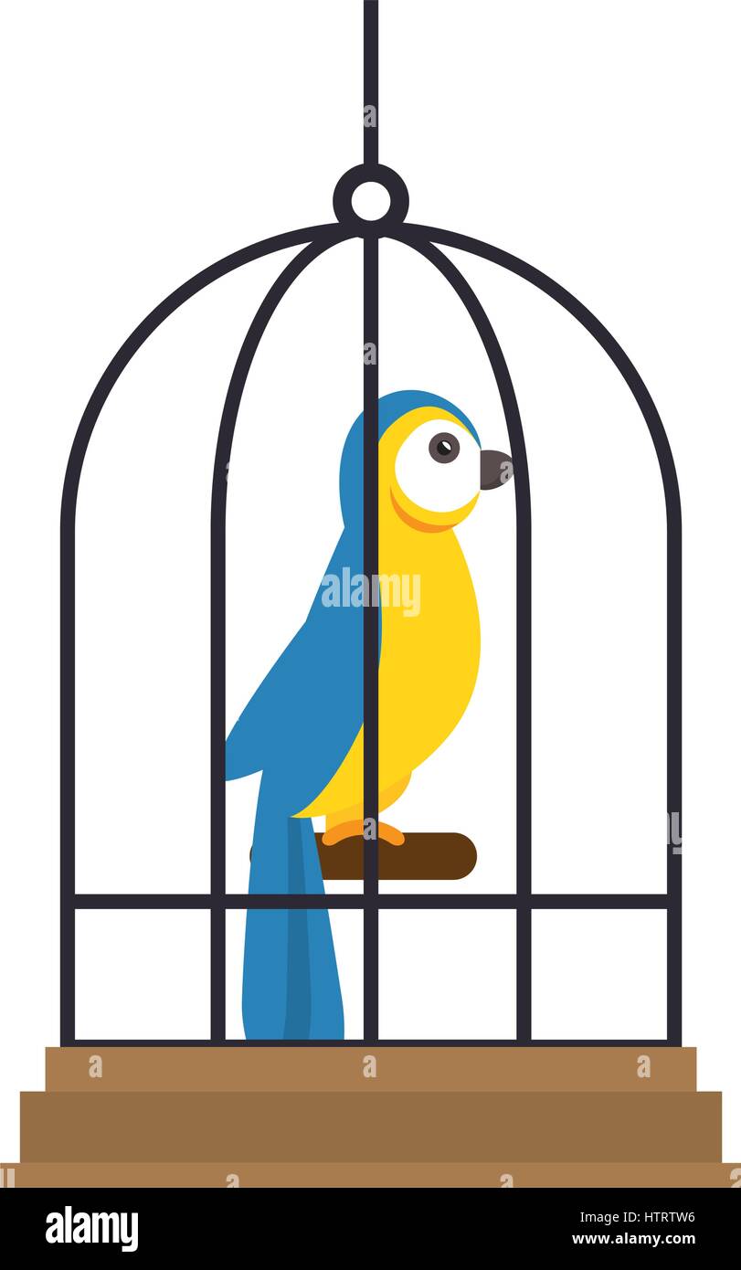 Cartoon Bird Cage Stock Photos & Cartoon Bird Cage Stock Images ...