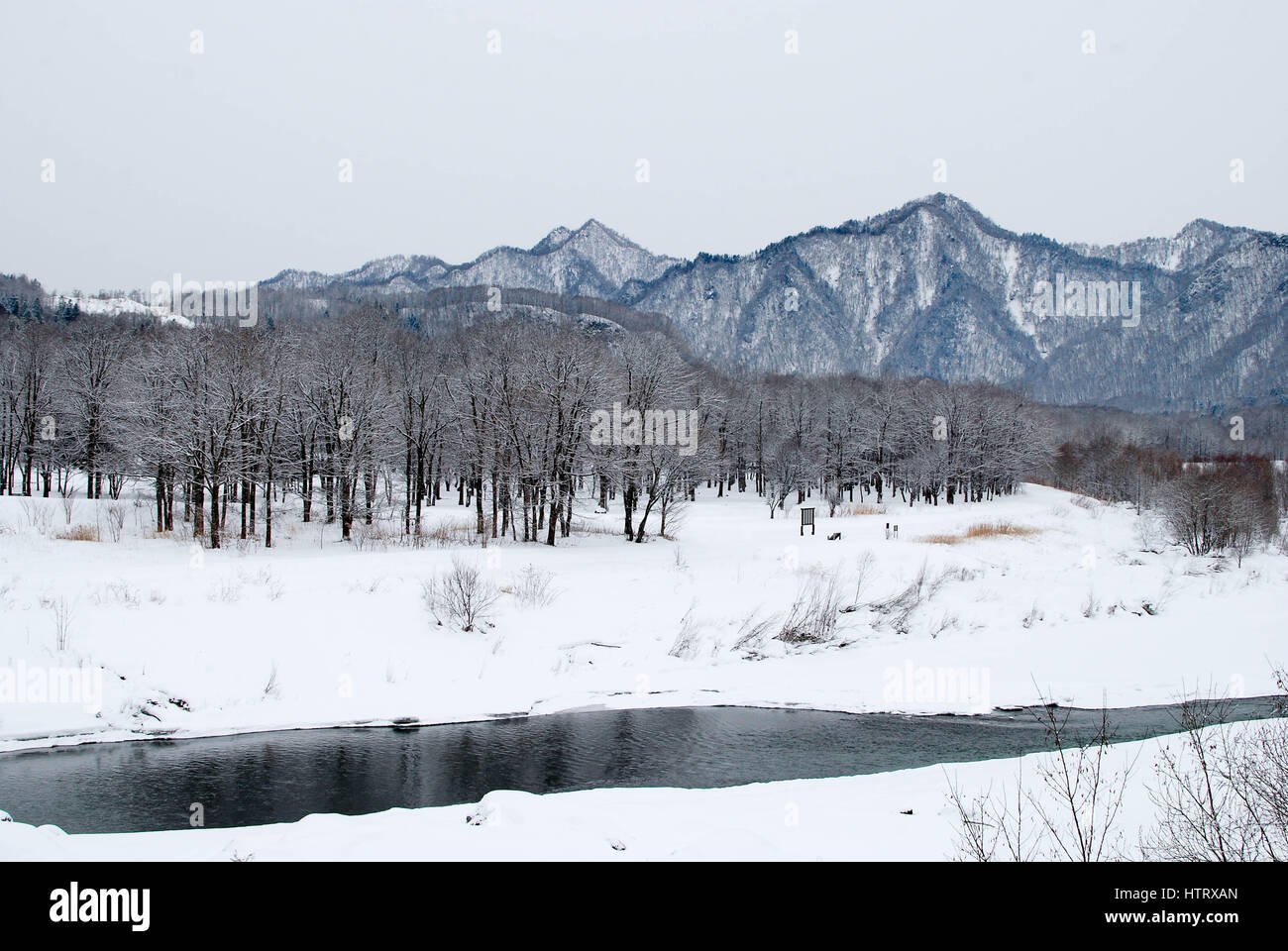winter forest, river and mountain covered in snow in Hokkaido, Japan Stock Photo