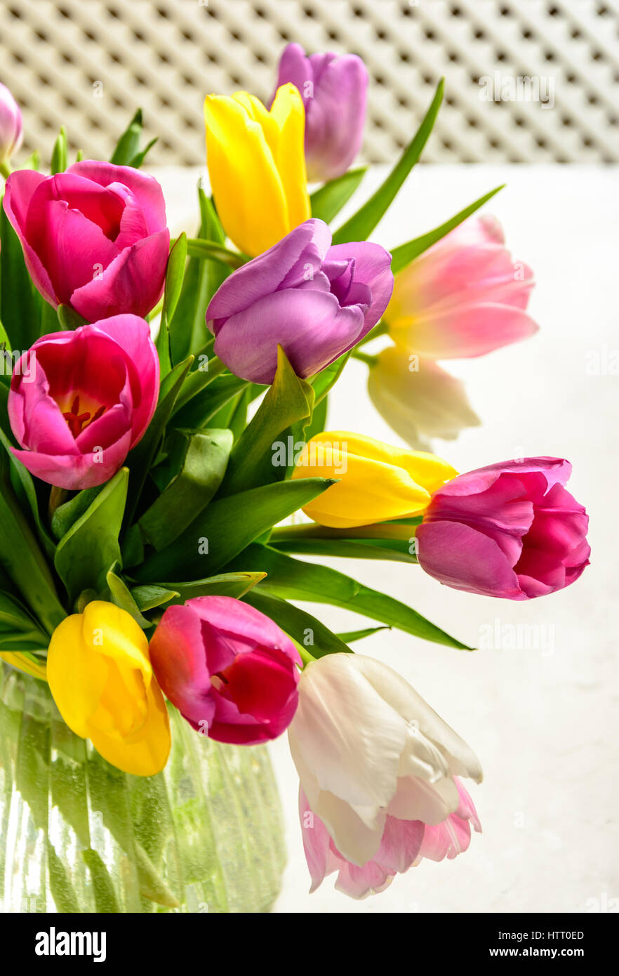 Beautiful festive bouquet of tulips on white background Stock Photo