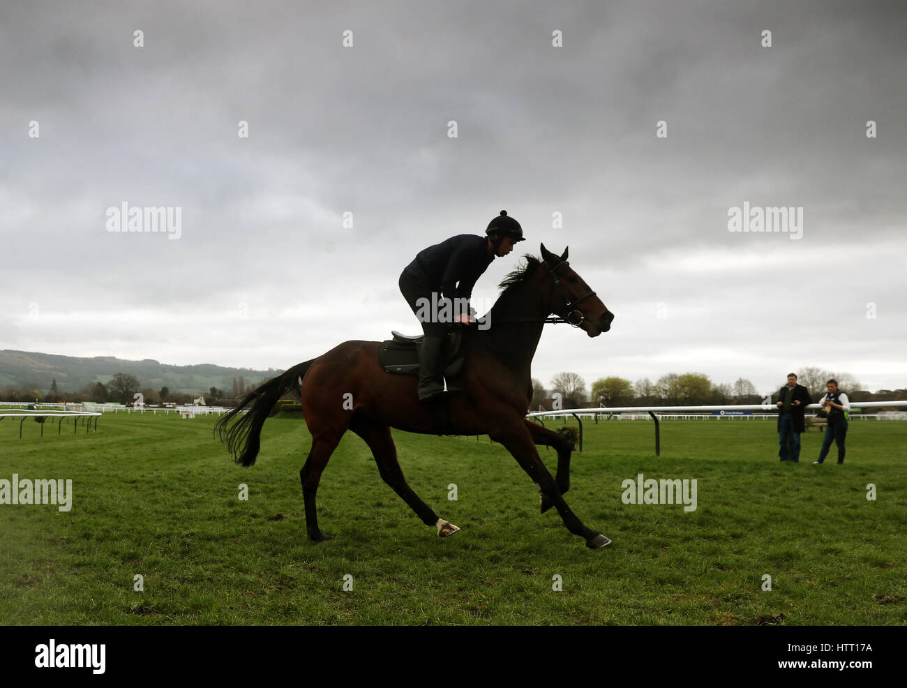 A horse of trainer Willie Mullins on the gallops during Champion Day of