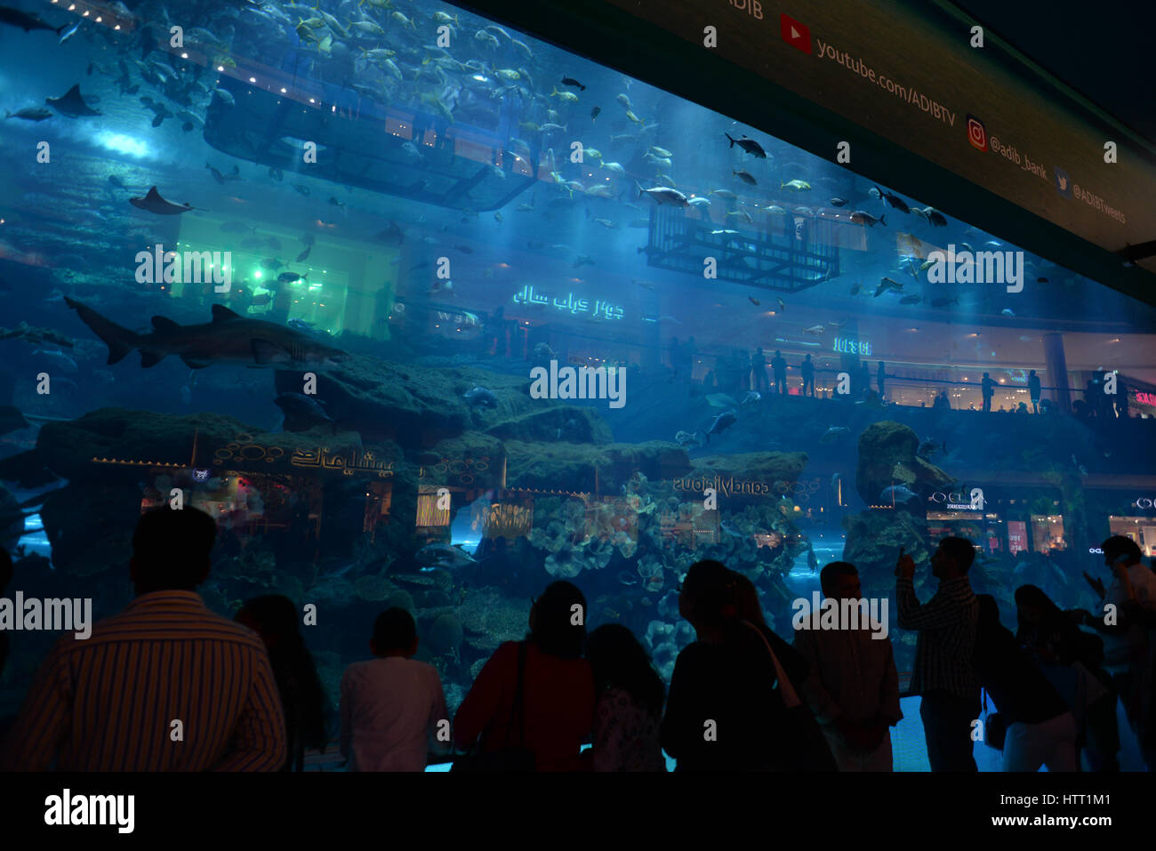 Dubai, United Arab Emirates, outside Dubai Aquarium, the Mall of Dubai, UAE Stock Photo