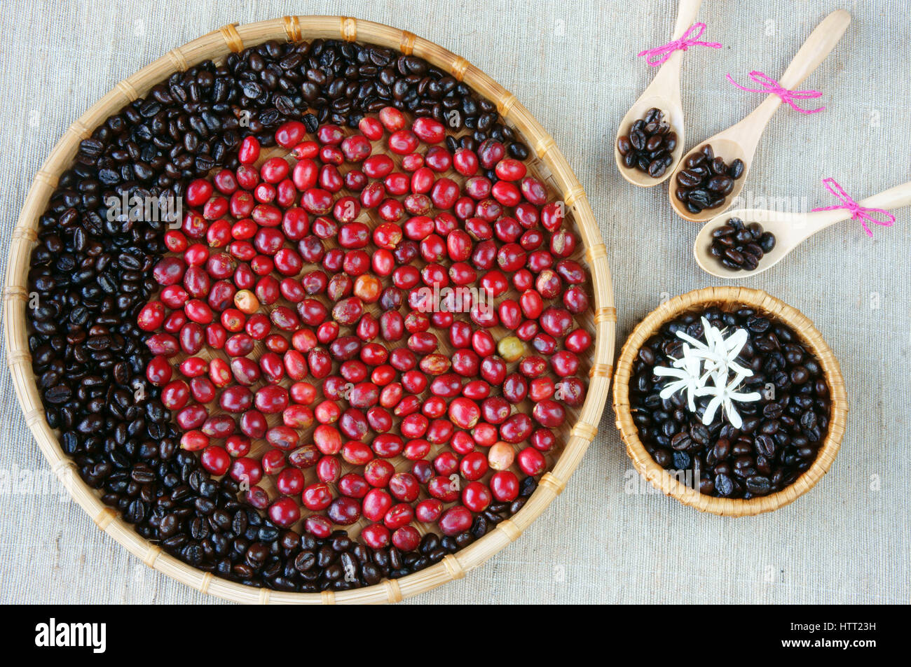 Collect of cafe, red ripe berries, roasted cofee bean, white flower on bamboo basket with sackcloth background, agriculture product at Vietnam, harmon Stock Photo