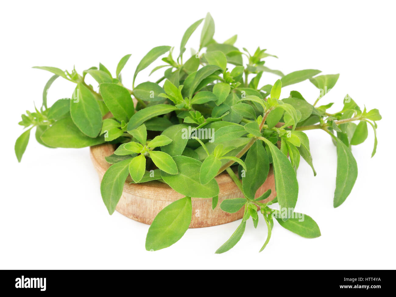 Thyme leaves in a wooden bowl over white background Stock Photo