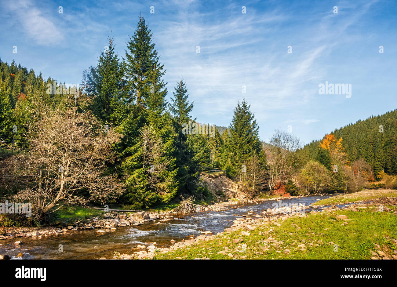 Rocky forest landscape hi-res stock photography and images - Alamy