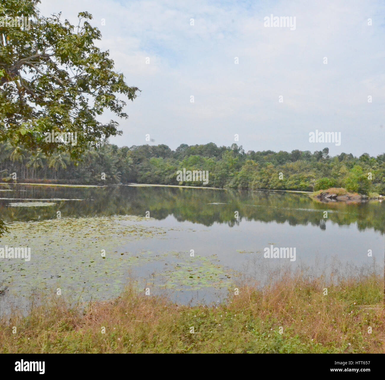 Lake at karkala, Mangalore, Karnataka, India Stock Photo - Alamy