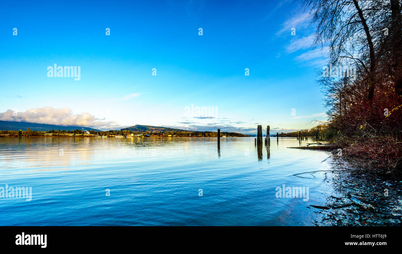 A view of the Fraser River by Brea Island on a sunny day in Fort Langley in beautiful British Columbia, Canada Stock Photo