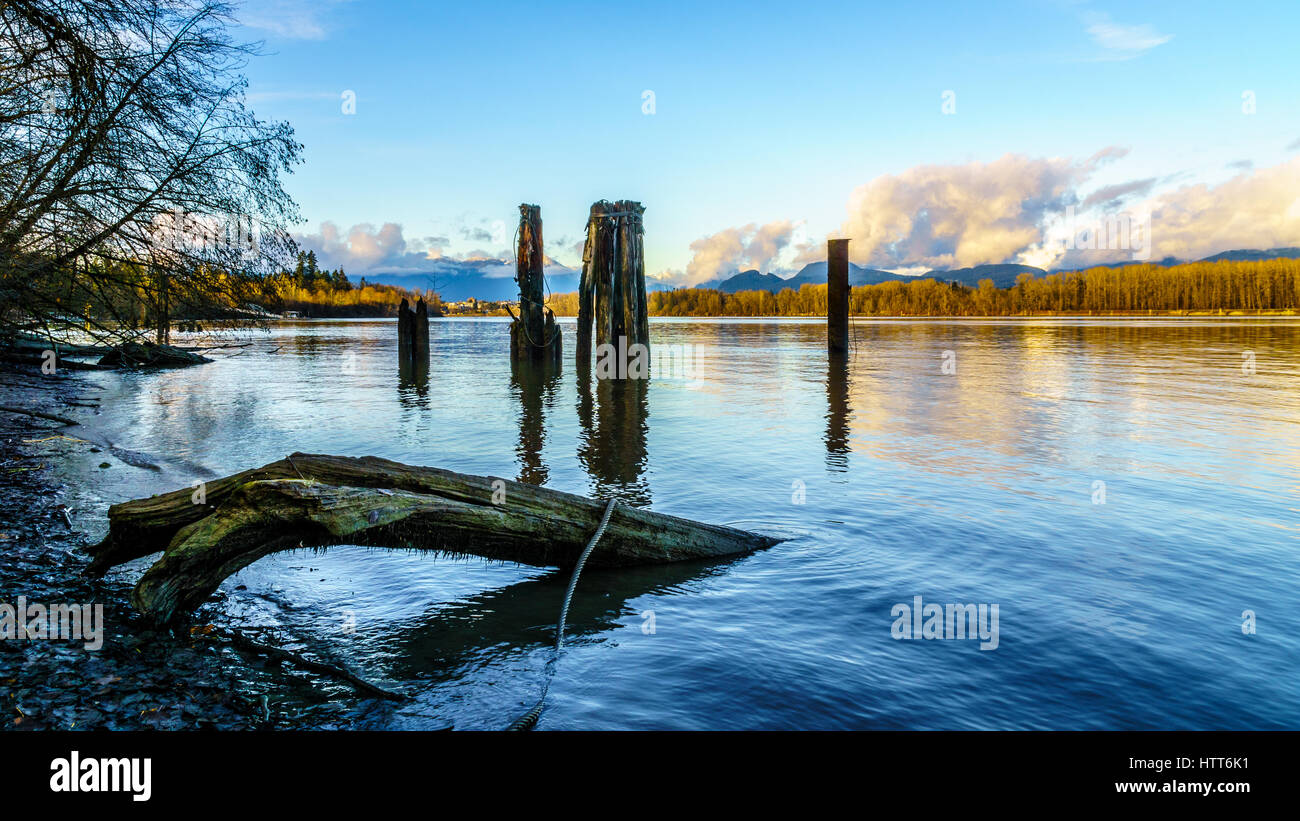 Fall colors surrounding the quiet waters of the Fraser River at Brea Island, Fort Langley British Columbia, Canada Stock Photo