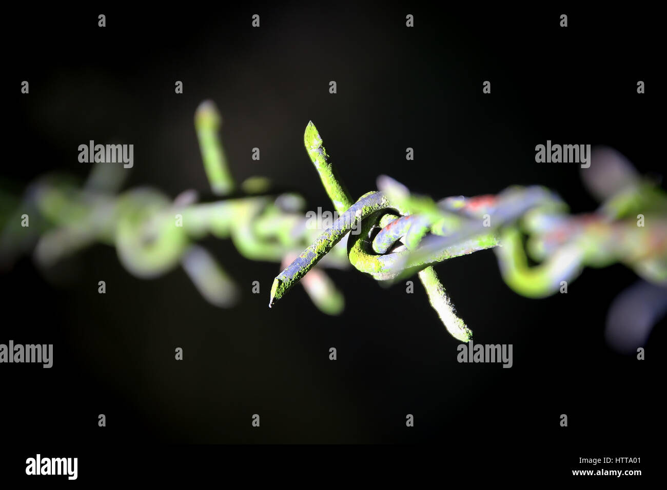 Closed up abstract obstacle - Barbed wire with green moss Stock Photo