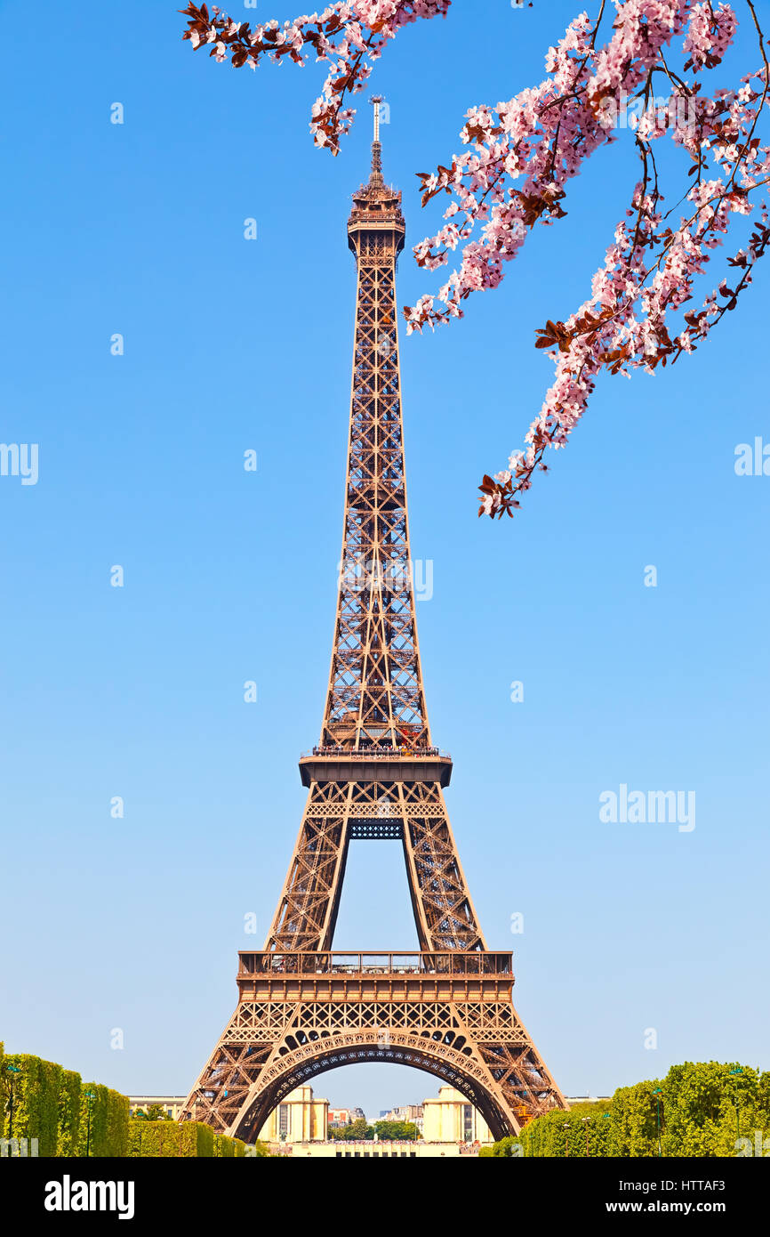 Eiffel Tower in Paris at spring, France Stock Photo