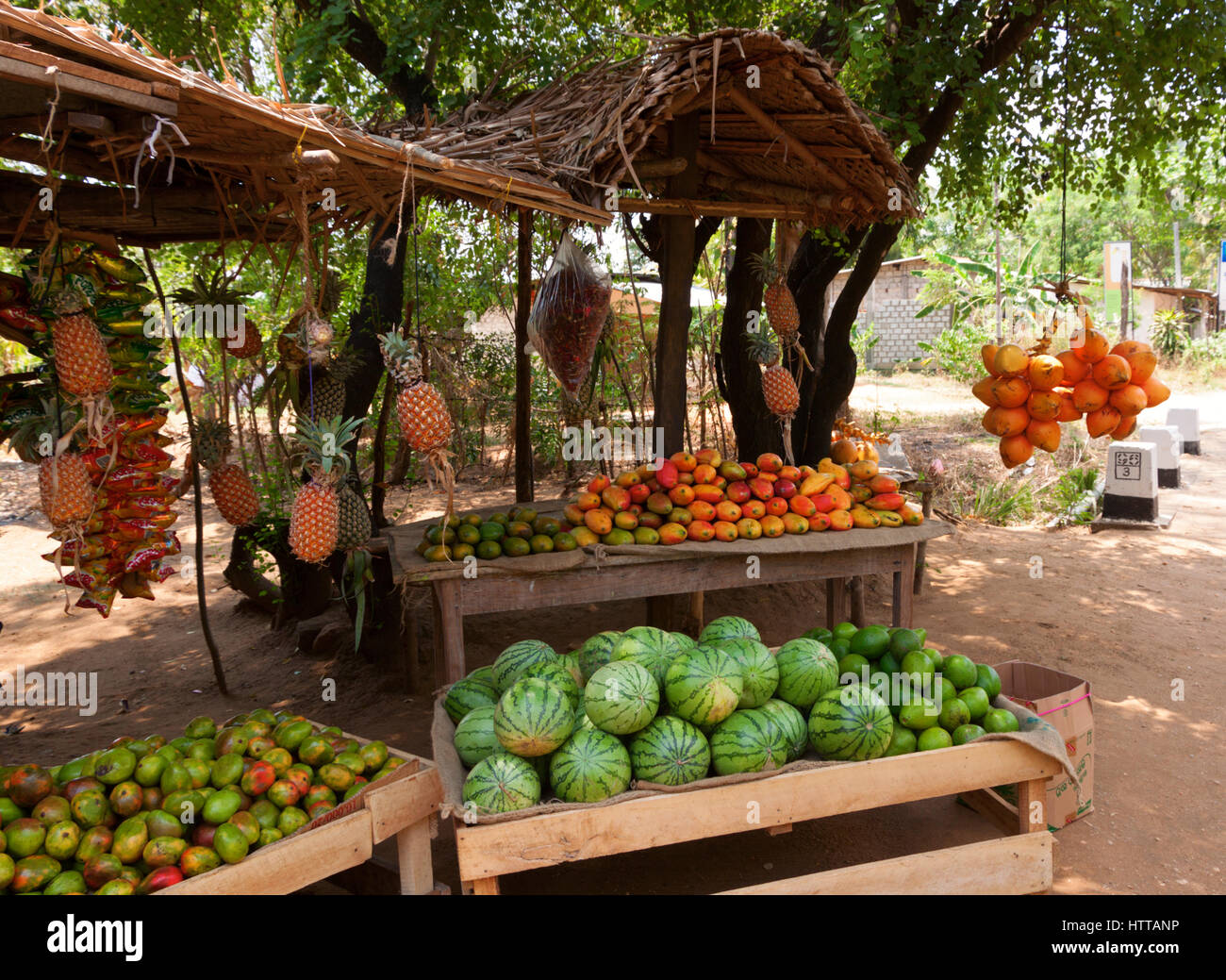 Fruit Vendor's Stall in Sri Lanka with coconut,mango and watermelon