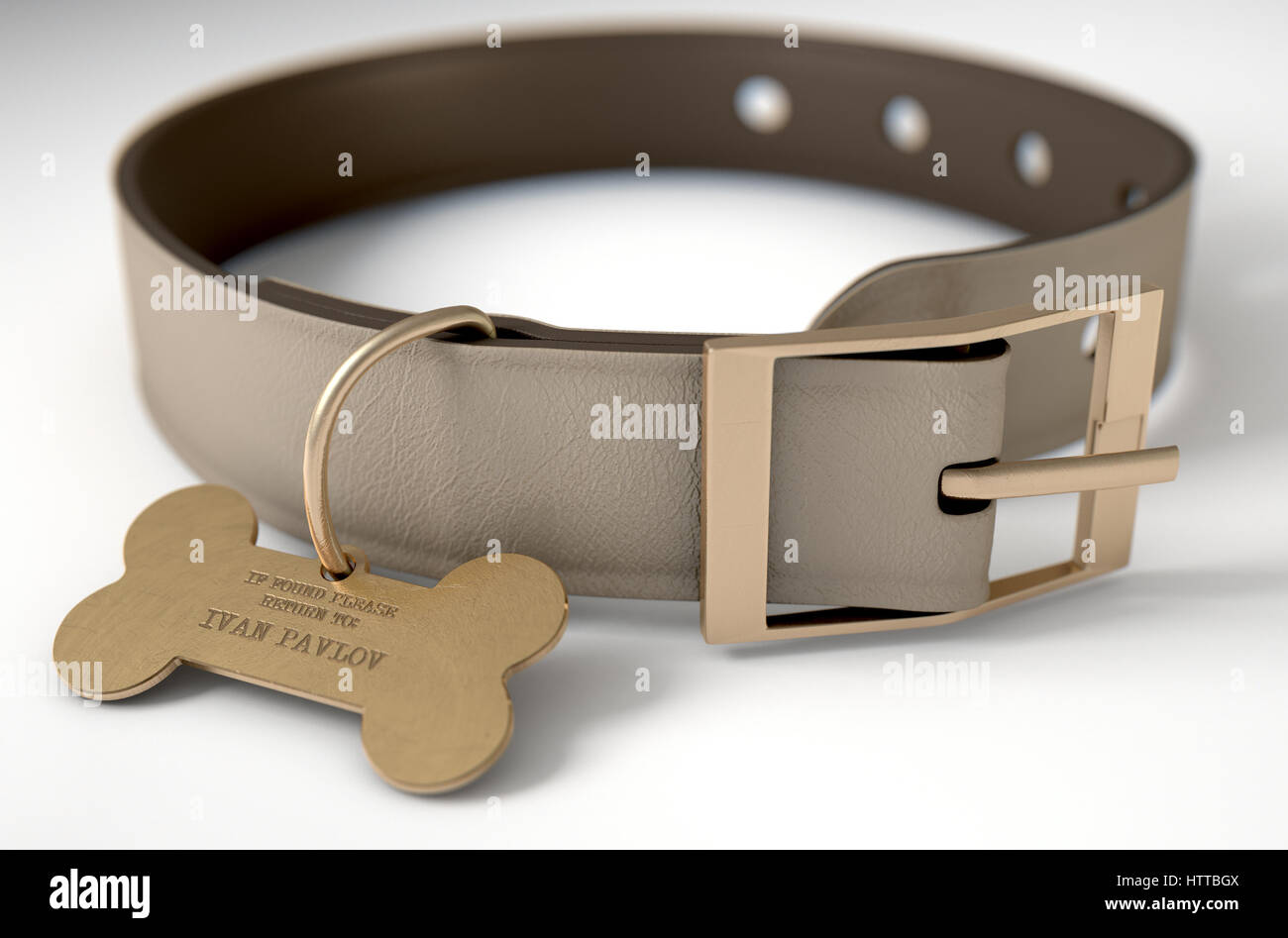 A concept depicting pavlovian conditioning theory of a leather dog collar and a bone shaped identification tag showing ownership to ivan pavlov - 3D r Stock Photo