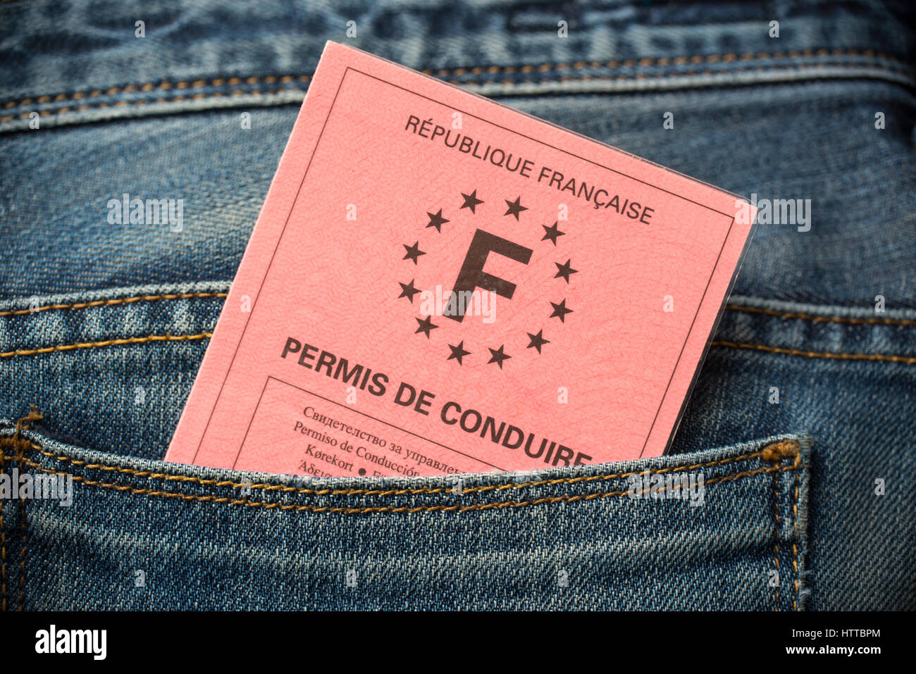 Nouveau permis de conduire français Stock Vector