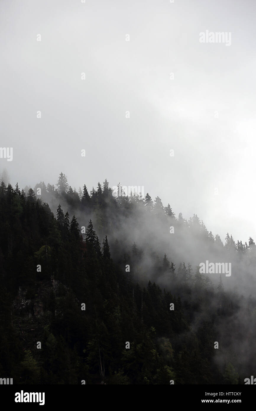 Туман поднимается вверх. Туман поднимается вверх. Поземный туман. Призрачный туман. Туман фото.